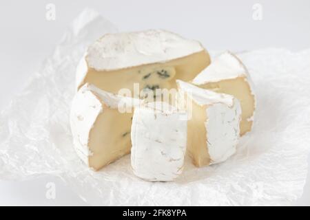 fromage camembert ou brie sur fond blanc, fromage sur papier parchemin blanc, tête de fromage en morceaux, fromage français Banque D'Images
