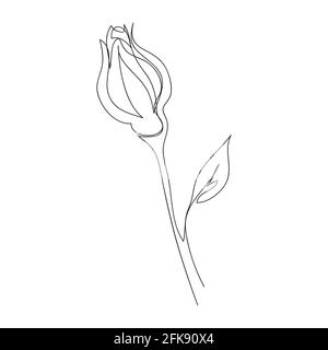 Dessin continu d'une rose sur une seule ligne. Illustration vectorielle noire et blanche d'une fleur. Logo, carte postale, bannière, affiche, concept de circulaire Illustration de Vecteur