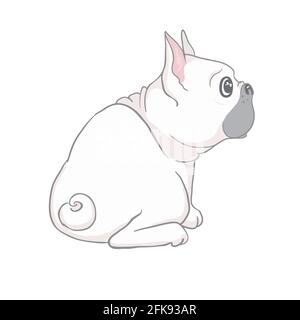 Chien de taureau français mignon assis chiot avec tête drôle d'inclinaison vecteur illustration isolée sur blanc. Animaux de compagnie, animaux de compagnie, élément de conception de thème d'amoureux d'animaux. Illustration de Vecteur