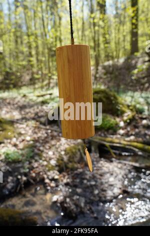 Koshi vent carillons dehors dans la forêt pour la thérapie saine de guérison, le yoga et la méditation, se détendre Banque D'Images