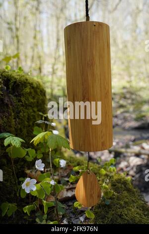 Koshi vent carillons dehors dans la forêt pour la thérapie saine de guérison, le yoga et la méditation, se détendre Banque D'Images