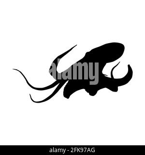 Pieuvre de mer avec tentacules isolé silhouette noire. Seiches noires. Calmar. Animal marin. Arrière-plan blanc. Illustration vectorielle clipart. Illustration de Vecteur