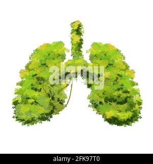 Poumons humains composés de buissons lushy vert vif, concept d'écologie créative isolé sur blanc Illustration de Vecteur