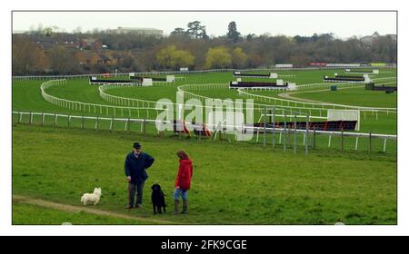 Pour aller avec l'histoire de Mathew Beard comparant les années précédentes annulé Cheltenham Gold Cup Festival à cette année... pic David Sandison 6/3/2002 Banque D'Images