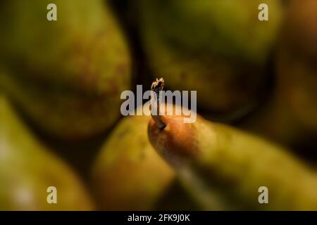 Photographie semi-abstraite de la vie des fruits de la Conférence des poires (Pyrus communis 'Conférence') Banque D'Images