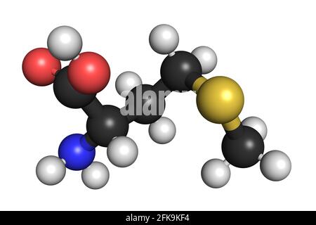 La molécule d'acide aminé L-méthionine 3D rend la structure chimique Banque D'Images