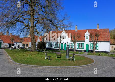 Une ferme traditionnelle blanchie à la chaux avec des portes et des fenêtres vertes dans la vieille ville de Damme (Flandre Occidentale), Belgique Banque D'Images