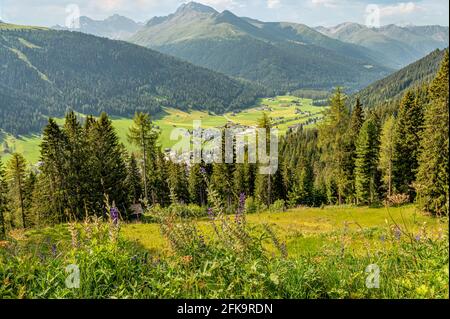 Vue depuis le Schatzalp Davos en été, Grisons, Suisse Banque D'Images