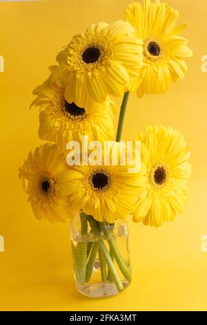Gerbera jaune bouquet de fleurs sur fond jaune Banque D'Images