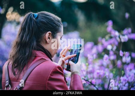 Fille prend des photos sur le téléphone d'un buisson à fleurs dans le parc Banque D'Images