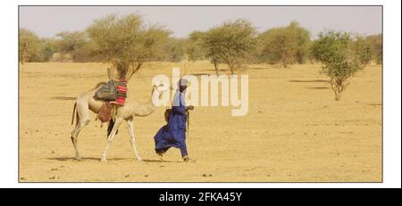 Mali: Bergers nomades, les Tuaregs du nord du Mali. Photo de David Sandison 13/12/2002 aller avec l'histoire de Mike Mc Carthy Banque D'Images