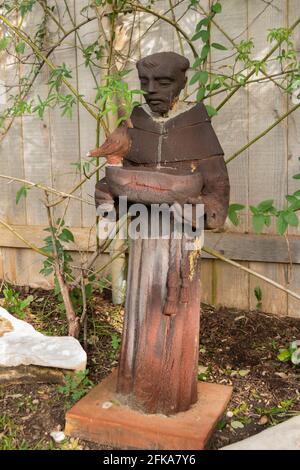 Une statue de bain d'oiseaux de jardin de Saint François d'Asissi à côté des vignes et une clôture en bois. Banque D'Images