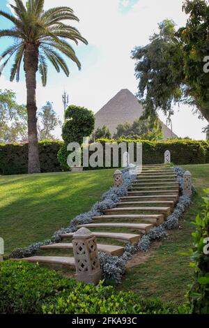 Vue depuis les jardins de l'hôtel Mena House des grandes pyramides encadrées par des palmiers avec des escaliers, Gizeh, Egypte Banque D'Images