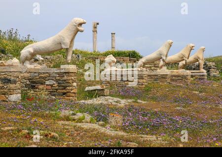 Statues de Lion sur l'île de Delos avec fleurs printanières, archipel des Cyclades, Grèce Banque D'Images