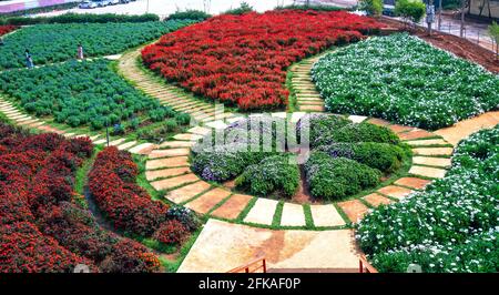 Jardin fleuri vu d'en haut avec de nombreuses fleurs de lavande pourpres, Sage Scarlet, chrysanthème dans la zone d'éco-tourisme attire des visiteurs près de Da Lat, Banque D'Images