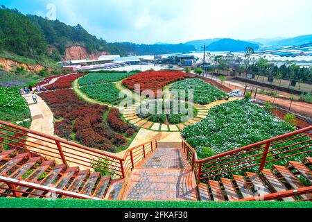 Jardin fleuri vu d'en haut avec de nombreuses fleurs de lavande pourpres, Sage Scarlet, chrysanthème dans la zone d'éco-tourisme attire des visiteurs près de Da Lat, Banque D'Images