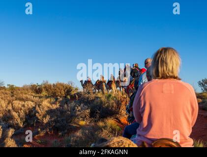 Touristes à cheval sur des chameaux dans le désert d'Australie centrale Banque D'Images