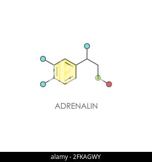 Structure moléculaire d'adrénaline. Icône de ligne colorée isolée sur fond blanc. Hormone épinéphrine, neurotransmetteur. Fortes émotions, symbole d'énergie Illustration de Vecteur