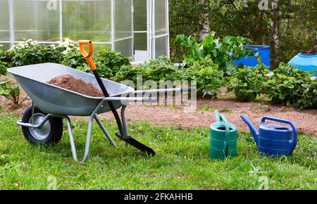 Paysage de jardinage. Brouette, outils de jardin, serre dans le jardin. Banque D'Images