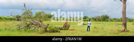 Hambantota, Sri Lanka - 04 16 2021: Arbre tombé et un jeune garçon vue panoramique sur le parc national de Lunugamvehera, sombre nuages de pluie qui s'amassent moi Banque D'Images