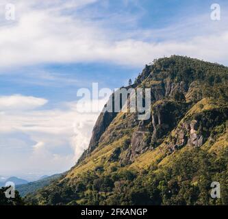 Paysage de montagne rocheux pittoresque, nuages brumeux se formant sous le sommet de la montagne, arbres, et herbe couvrant éclairé du soleil, paysage de sur Banque D'Images