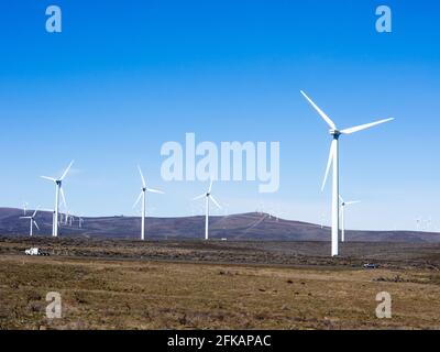 Éoliennes dans la gorge du fleuve Columbia près d'Ellensburg, dans l'État de Washington Banque D'Images