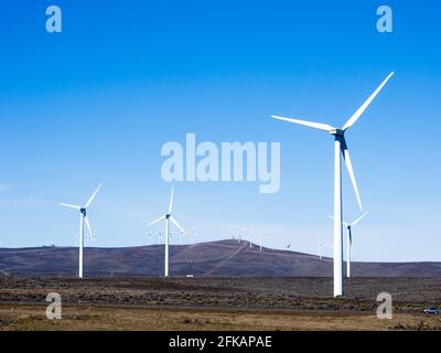 Éoliennes dans la gorge du fleuve Columbia près d'Ellensburg, dans l'État de Washington Banque D'Images