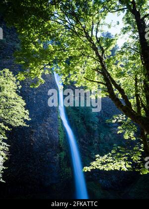 Chutes d'Horsetail dans la gorge de la rivière Columbia, Oregon, États-Unis Banque D'Images