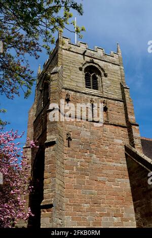 Église Saint-léonard, Beoley, Worcestershire, Angleterre, RU Banque D'Images