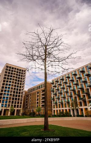 Une promenade autour de Royal Albert Dock, est de Londres, Angleterre Banque D'Images