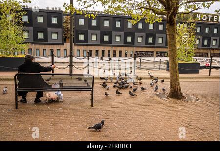 Une promenade autour de Royal Albert Dock, est de Londres, Angleterre Banque D'Images