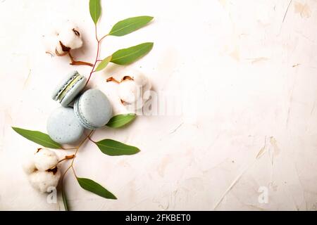 Composition élégante de macarons français eucalyptus et coton Boll sur une table texturée en plâtre de stuc blanc. Joyeux anniversaire de Saint-Valentin cadeau de printemps. Copier Banque D'Images