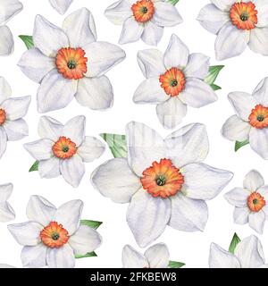 Jonquilles - motif sans couture 1. Illustration aquarelle. Dessin à la main. Banque D'Images