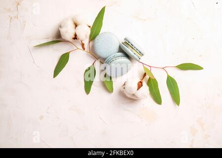 Composition élégante de macarons français eucalyptus et coton Boll sur une table texturée en plâtre de stuc blanc. Joyeux anniversaire de Saint-Valentin cadeau de printemps. Copier Banque D'Images