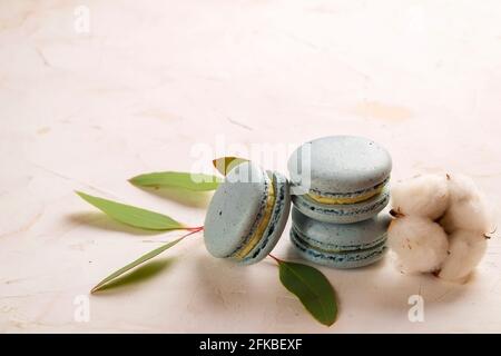 Composition élégante de macarons français eucalyptus et coton Boll sur une table texturée en plâtre de stuc blanc. Joyeux anniversaire de Saint-Valentin cadeau de printemps. Copier Banque D'Images