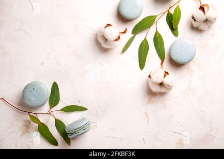 Composition élégante de macarons français eucalyptus et coton Boll sur une table texturée en plâtre de stuc blanc. Joyeux anniversaire de Saint-Valentin cadeau de printemps. Copier Banque D'Images