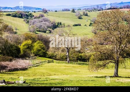 Vue sur la campagne vallonnée dans les Cotswolds du Worcestershire. Banque D'Images