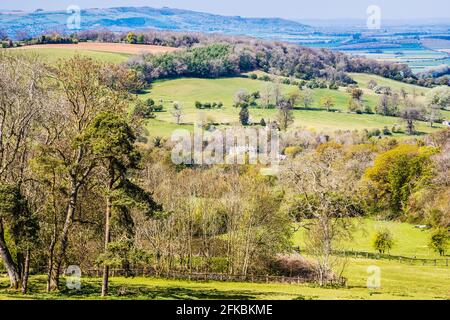 Vue sur la campagne vallonnée dans les Cotswolds du Worcestershire. Banque D'Images