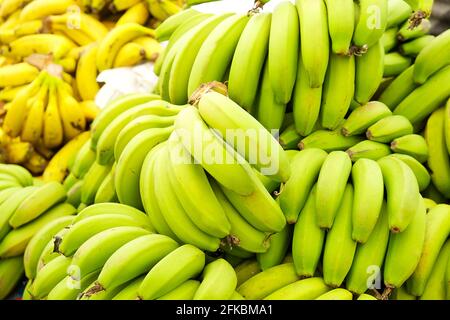 Concept de manger propre. Récolte de la pile de bananes cavitch biologique mûres jaune et vert posées sur le marché agricole local. Noix saines Banque D'Images