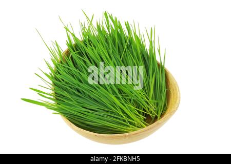 Gros plan de Wheatgrass fraîchement coupé dans un bol en bois, isolé sur fond blanc Banque D'Images