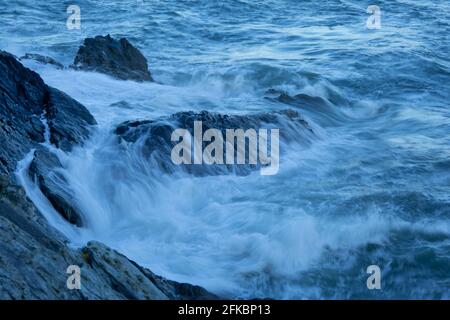 Vagues s'écrasant contre des rochers sur le chemin côtier gallois d'Anglesey. Banque D'Images