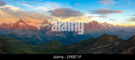 Vue aérienne de Wetterhorn, Schreckhorn, Finsteraarhorn, Eiger, Monch, Jungfrau au coucher du soleil, Oberland bernois, Suisse, Europe Banque D'Images