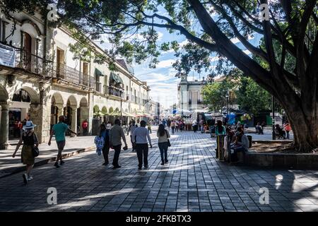 Place principale, Oaxaca, Mexique, Amérique du Nord Banque D'Images