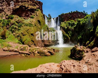 Chutes d'Ouzoud, chute d'eau près du village du Moyen Atlas de Tanaghmeilt, province d'Azilal, région de Beni Mellal-Khenifra, Maroc, Afrique du Nord, Afrique Banque D'Images