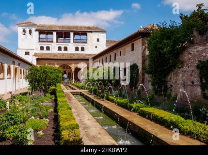 Le patio de la Acequia (cour du Canal), Palais du Generalife, Alhambra, site classé au patrimoine mondial de l'UNESCO, Grenade, Andalousie, Espagne, Europe Banque D'Images