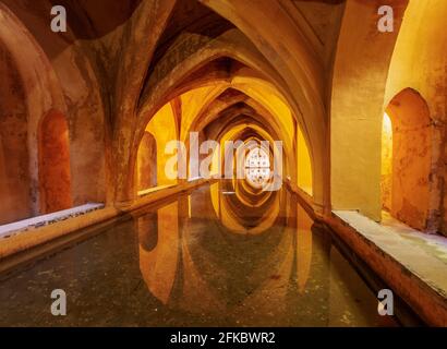 Banos de Dona Maria de Padilla, Thermes de Lady Maria de Padilla à Alcazar, site classé au patrimoine mondial de l'UNESCO, Séville, Andalousie, Espagne, Europe Banque D'Images