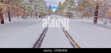 La route menant au lac Kaibab dans la forêt nationale de Kaibab près de Williams, Arizona, États-Unis d'Amérique, Amérique du Nord Banque D'Images