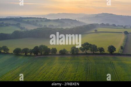 vue aérienne des terres agricoles vallonnées en été, Devon, Angleterre, Royaume-Uni, Europe Banque D'Images