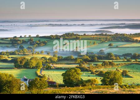 Campagne vallonnée et enveloppée de brume à l'aube, Brentor, parc national de Dartmoor, Devon, Angleterre, Royaume-Uni, Europe Banque D'Images