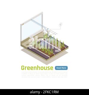 Système moderne d'arrosage automatique à effet de serre, composition isométrique avec connexion wi-fi à distance illustration du vecteur d'irrigation des lits smart planten contrôlés Illustration de Vecteur